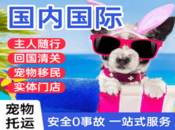 滋润国际宠物托运 【国